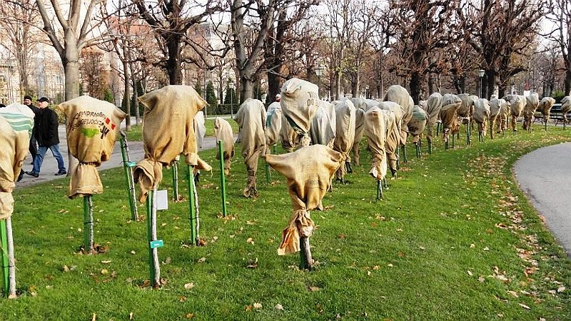 DSC01092 01.JPG - A Volksgarten rózsatői a fagytól védve, gondosan becsomagolva.